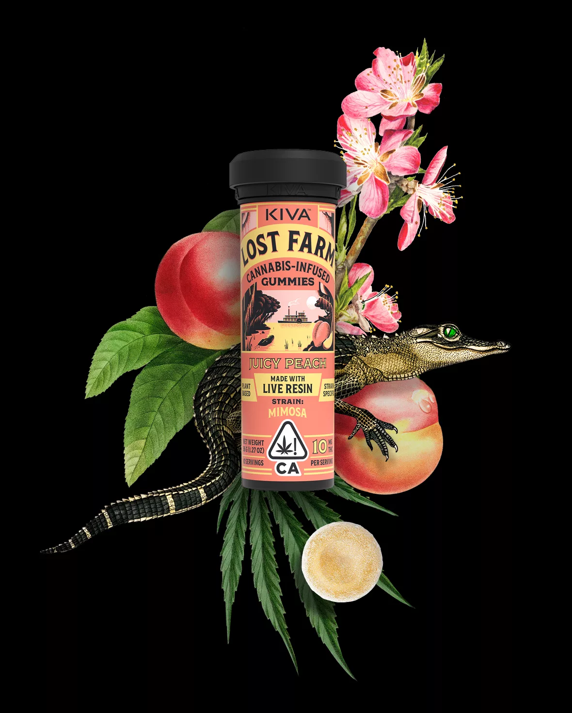 10mg juicy peach x mimosa live resin gummies 10mg juicy peach x mimosa live resin gummies