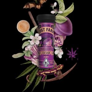 lost farm 10mg sugar plum cannabis gummy edible infused with pluot