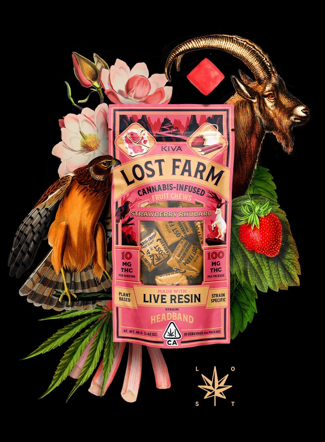 lost farm strawberry rhubarb x headband chews lost farm strawberry rhubarb x headband chews